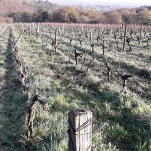 La fraicheur matinale