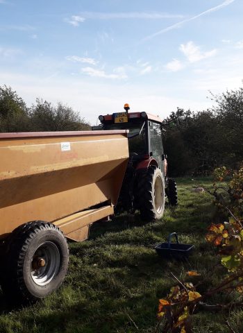 Tracteur vendanges